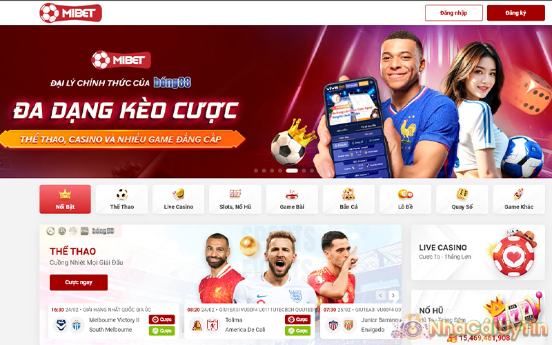 Giới thiệu sơ lược về nhà cái cá cược Mibet
