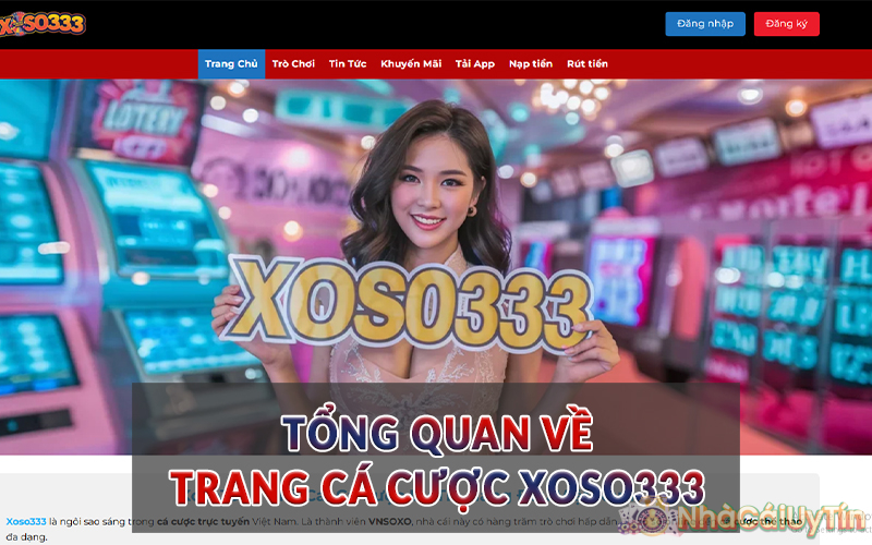 Tổng quan về trang nhà cái Xoso333
