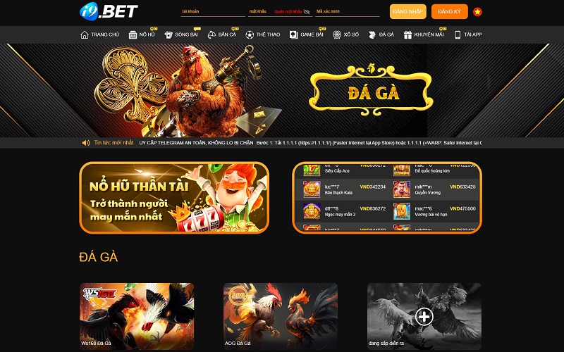 Đá gà tại i9bet