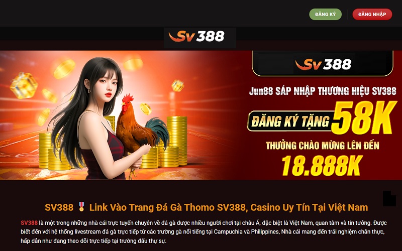 Giao diện đẹp & dễ nhìn