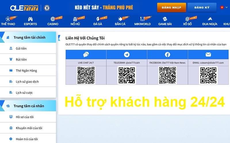 Hỗ trợ khách hàng 24/24