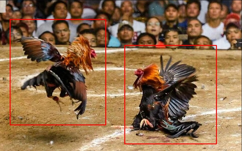 Lịch sử và phong độ