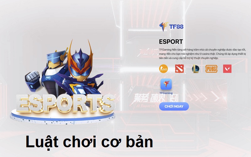 Luật chơi cơ bản