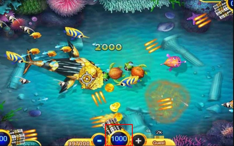 Sử dụng đạn phù hợp với cá